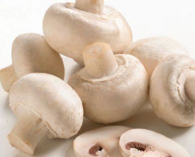 BENEFICIOS DEL CHAMPIÑON: ALGUNAS VARIEDADES DE CHAMPIÑON